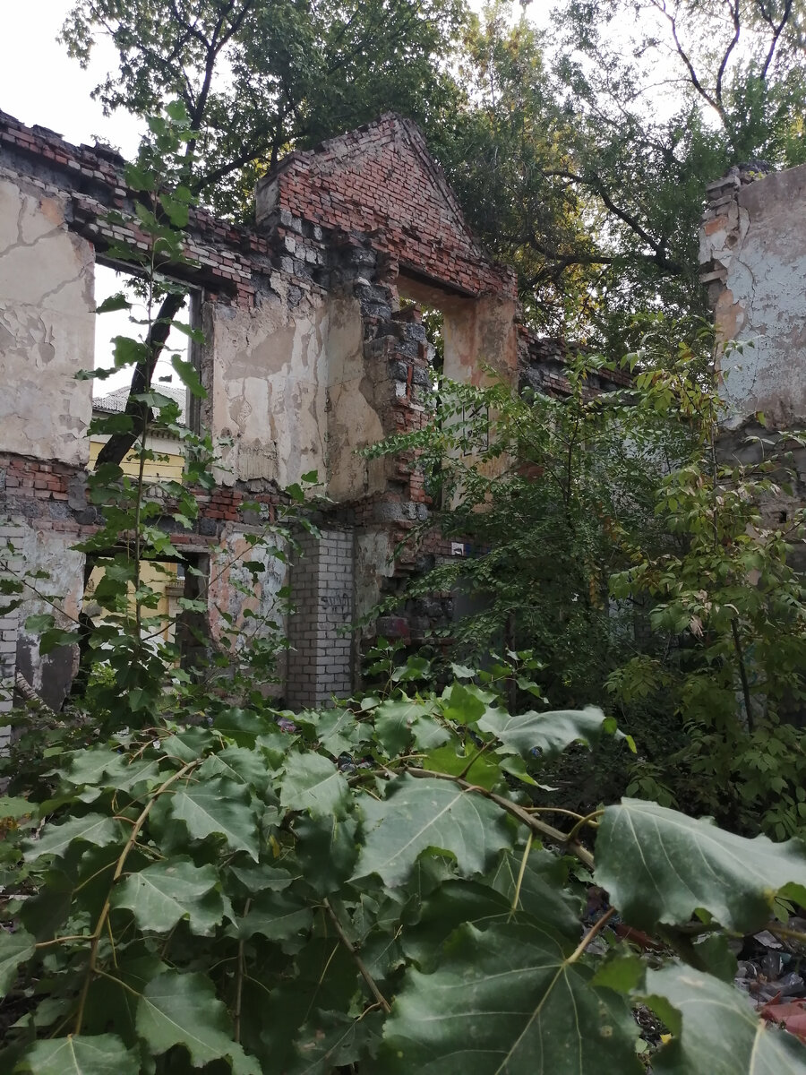 Парадный вход.