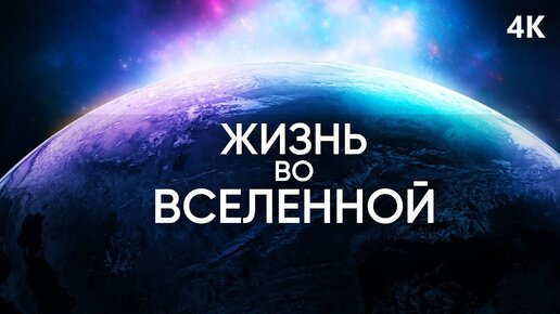 ЖИЗНЬ ВО ВСЕЛЕННОЙ:  ВНЕЗЕМНАЯ  ЖИЗНЬ ЗА ПРЕДЕЛАМИ И НАШЕ МЕСТО В ИСТОРИИ КОСМОСА [ФИЛЬМ 4K]