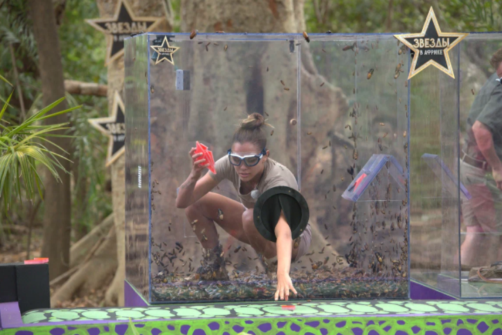 Фото из открытого источника