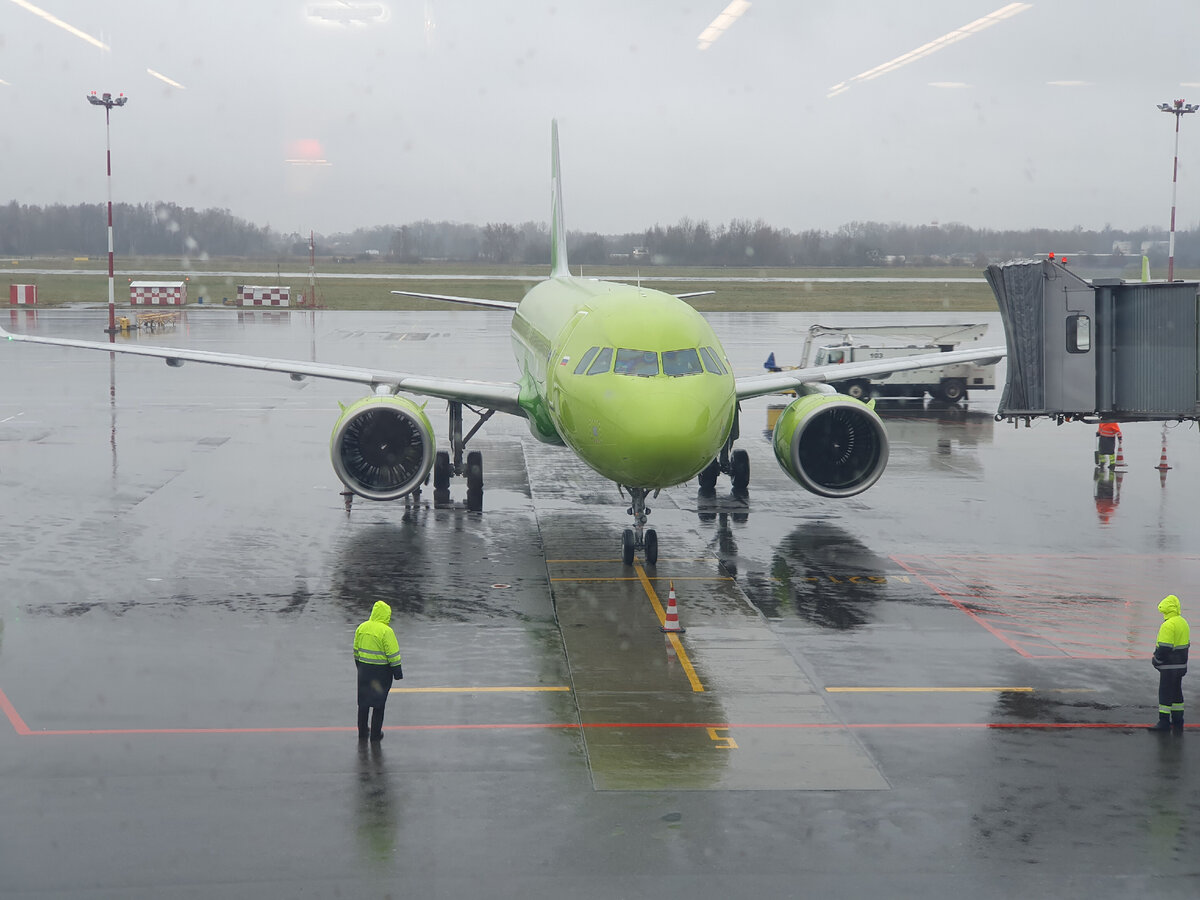 Бизнес-класс S7 Airlines на рейсе Калининград – Новосибирск | Meeuw | Дзен