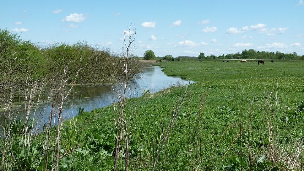 Летом наша речка выглядела примерно вот так. 