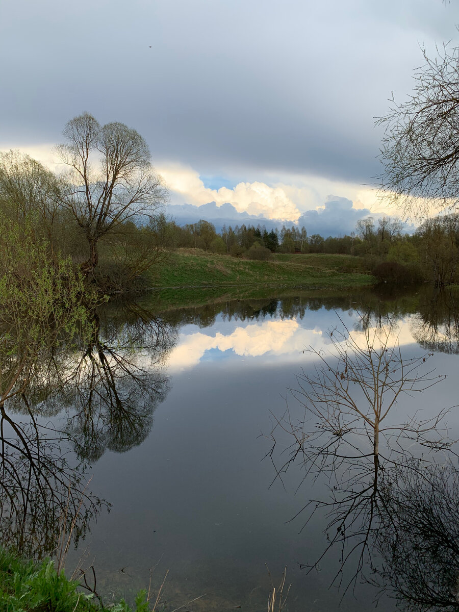 Рукотворный пруд. Без фильтров.