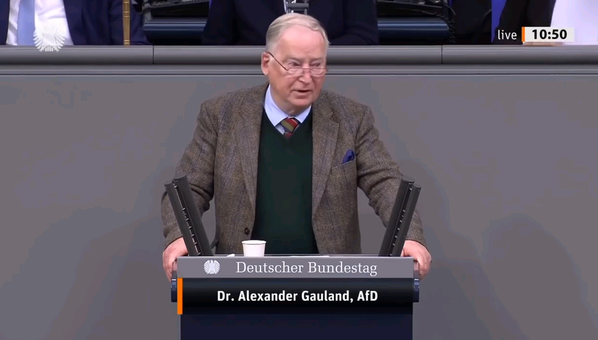 лидер партии «Альтернатива Германии»