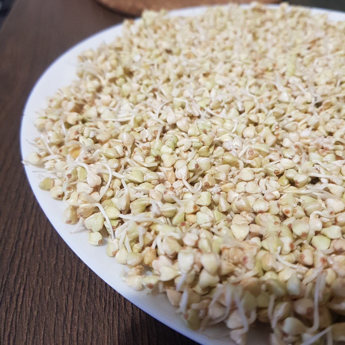 Живая Еда🌱