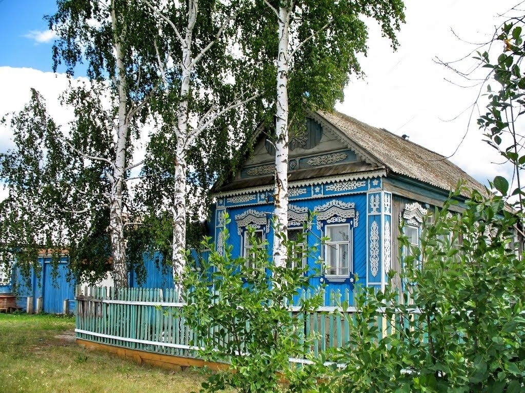 Уже давно село. Деревенский домик с березками. Деревенский дом с березкой. Домик в деревне с березой. Береза у дома.