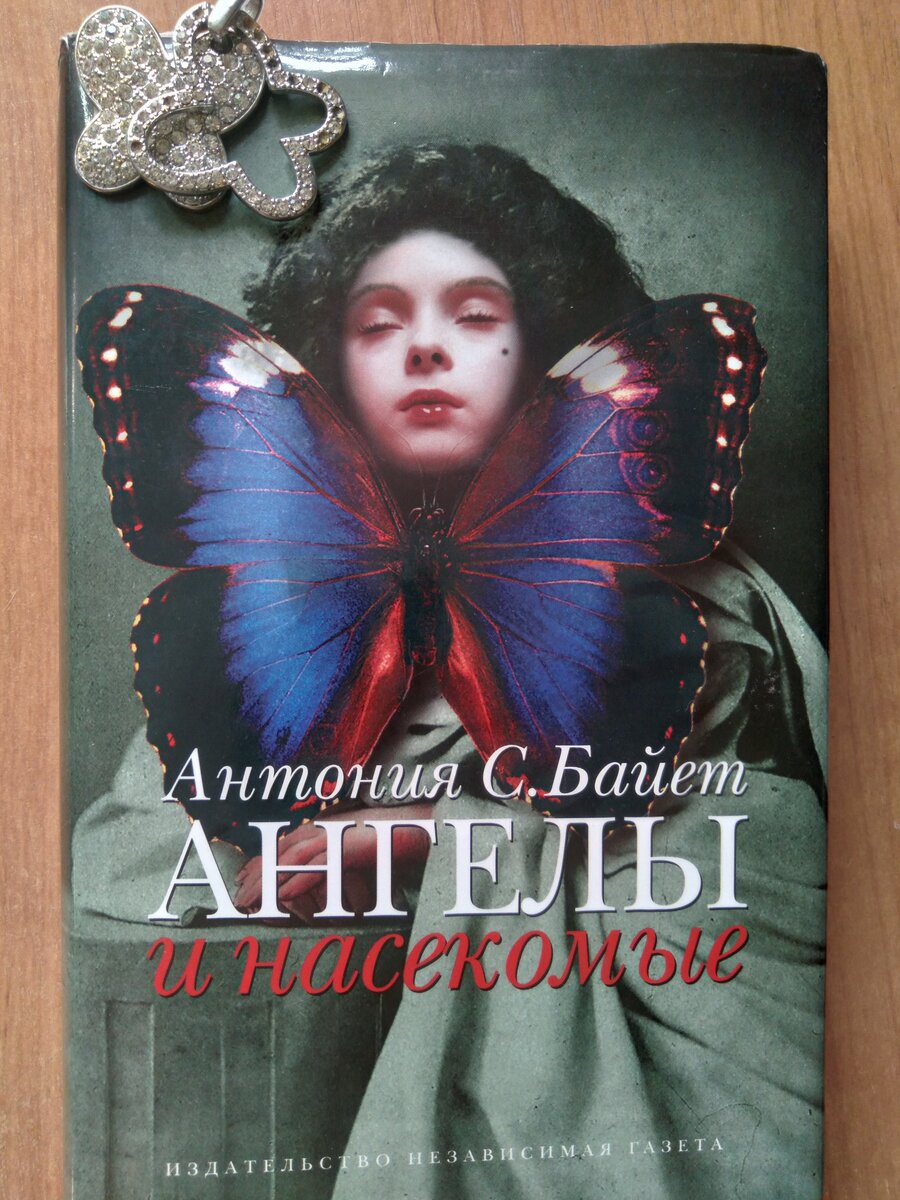 Книга морфо. Морфо книга. Книга моя Антония. Морфо книга по анатомии.