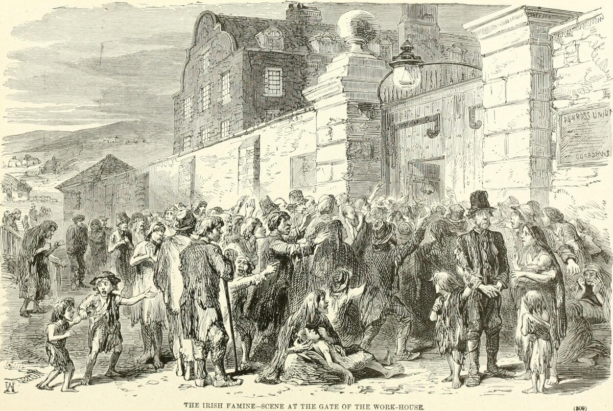 Голод в ирландии. Великий голод в Ирландии. Голод в Ирландии 1845-1849. Великий голод в Ирландии 1842-1852