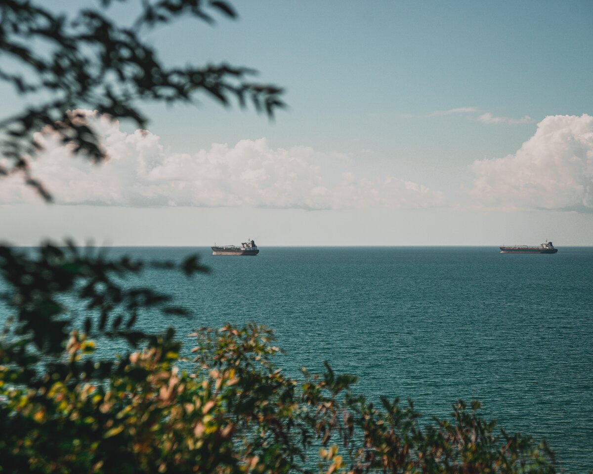 Photo by Den Trushtin on Unsplash 