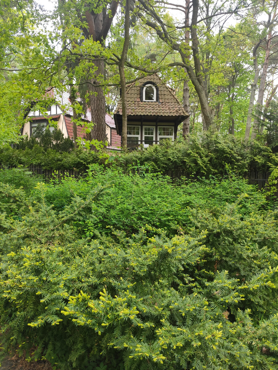 Изначально квартира в Италии стоила 35000, но правильный торг и мы ...