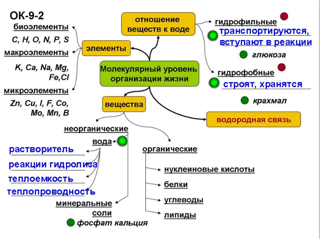 Образование 9 класс обществознание конспект