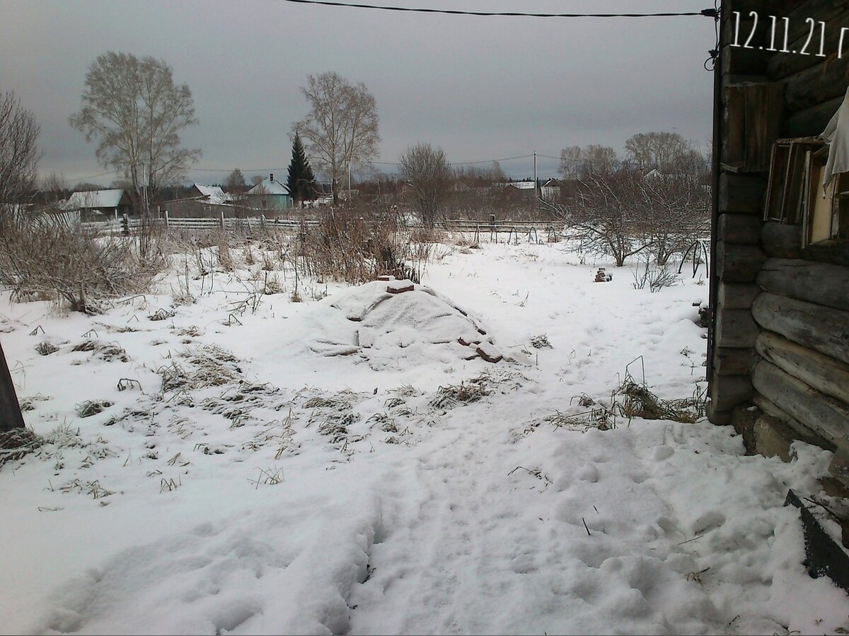 В ПРОШЛОМ ГОДУ СНЕГ УЖЕ БЫЛ, НО ТАКОЙ "ДУБАК" - ЭТО ВПЕРВЫЕ