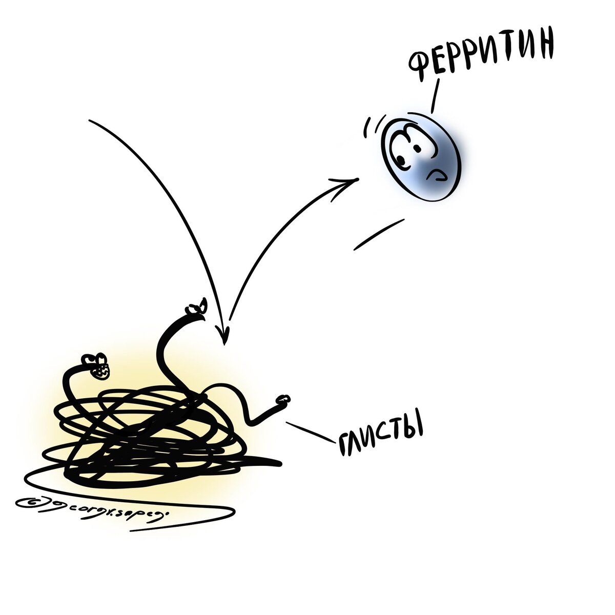 Указывает ли повышенный ферритин на глистов и аллергию? | Для пациентов ...