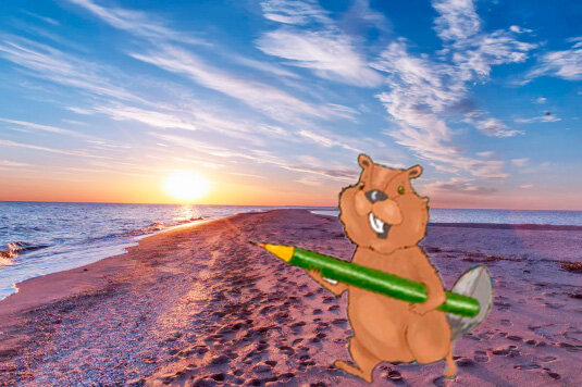 Тест: Азовское море