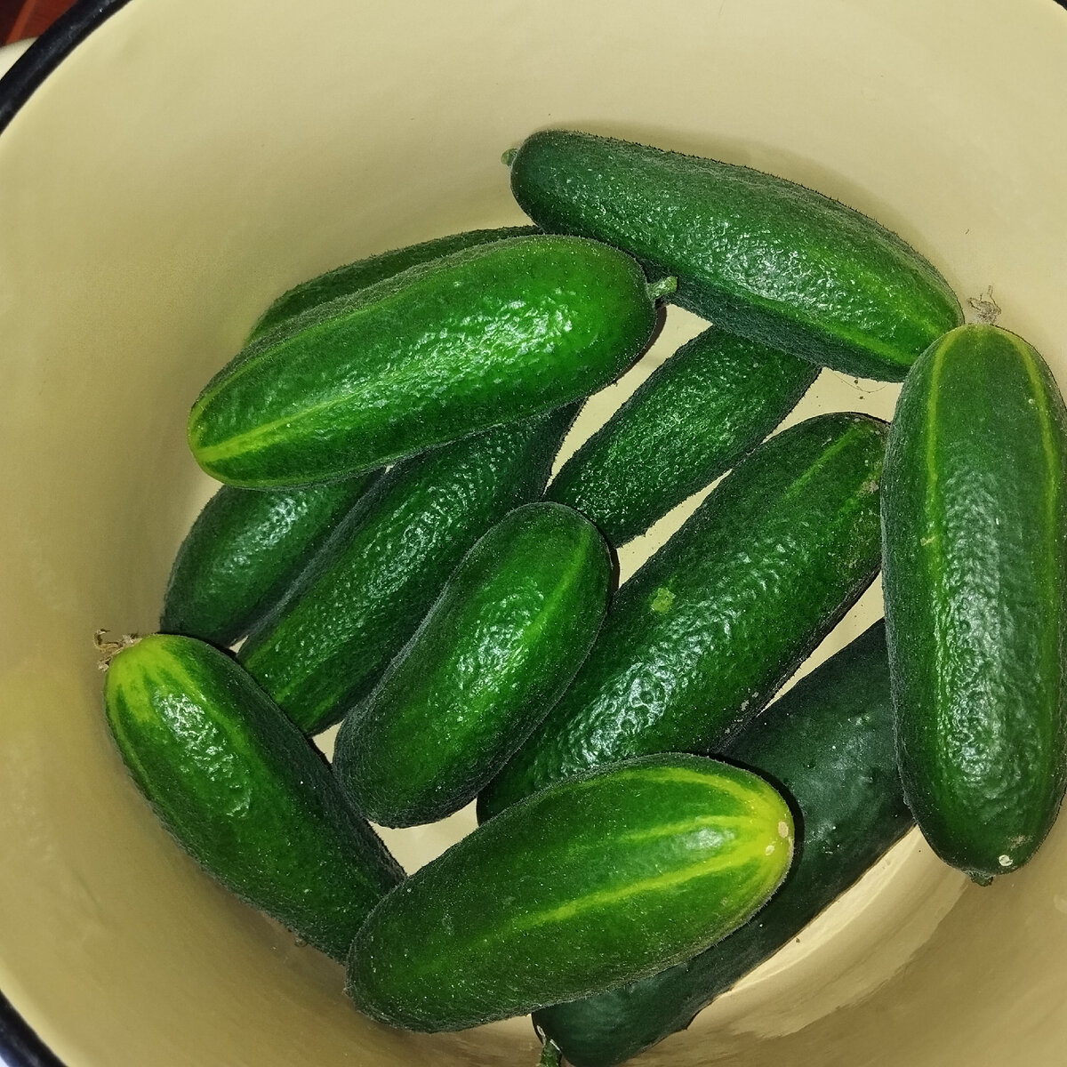 Мои первые огурчики в этом году