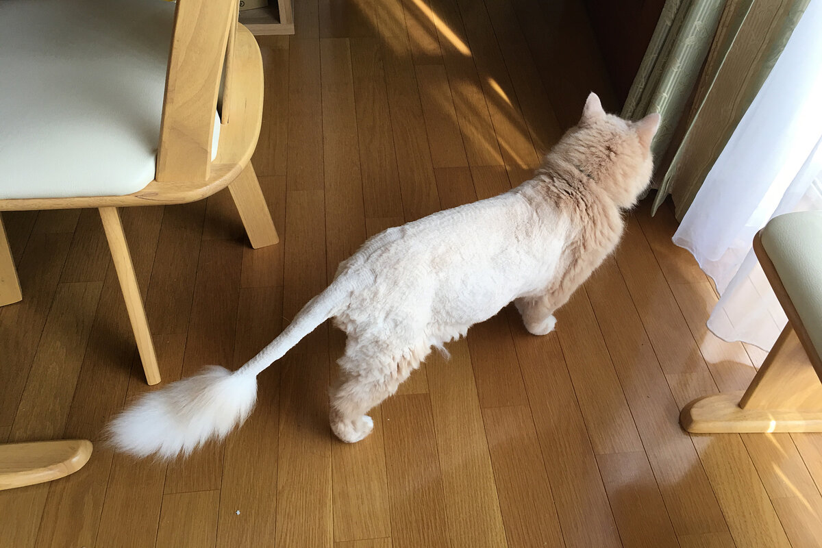 К лету готов!