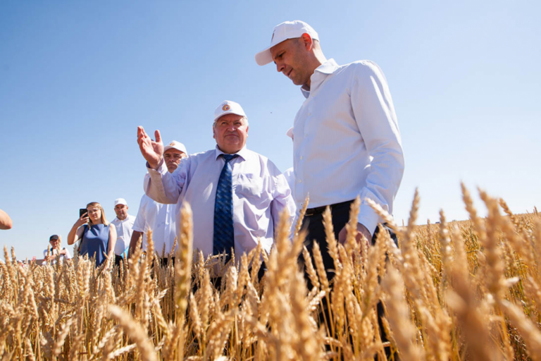    27 и 28 июля в Оренбуржье пройдет областной День поля Кристина Просвиркина