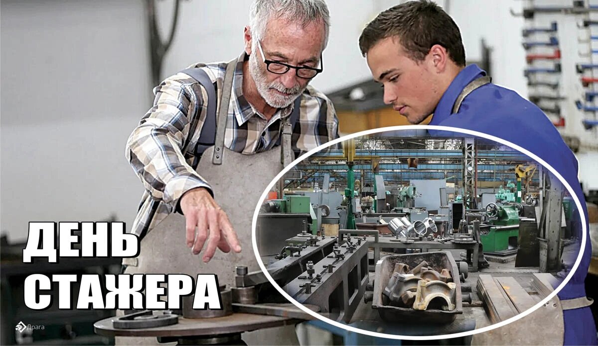 День стажера. Иллюстрация: «Весь Искитим»