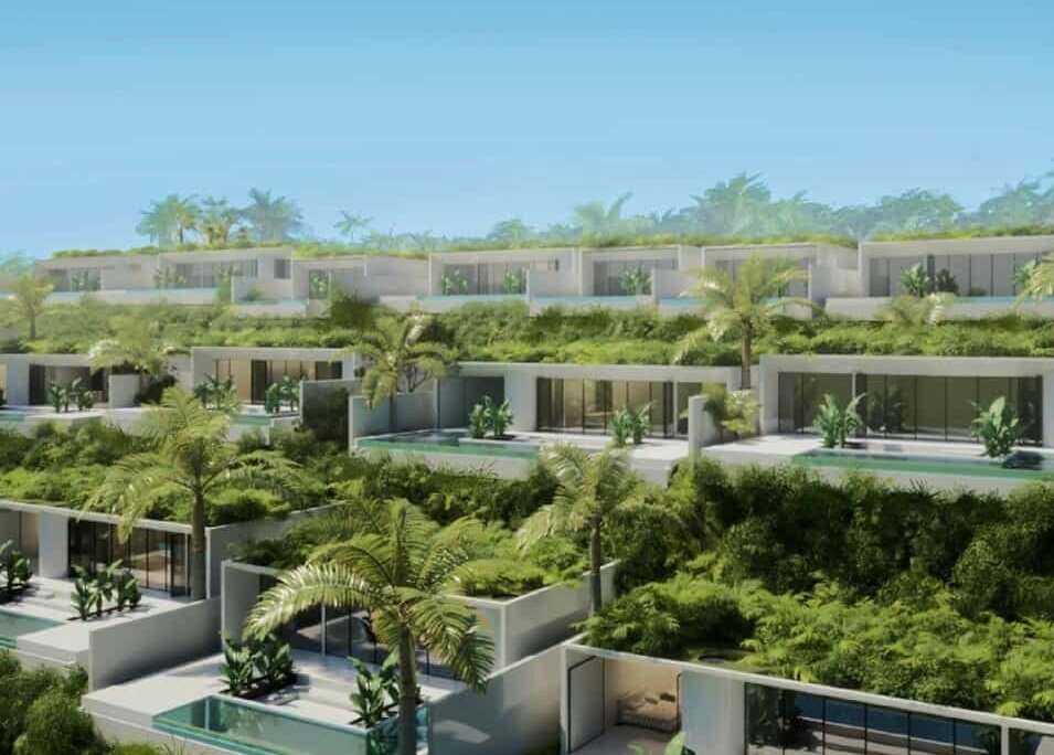    Фото: Parq Blue