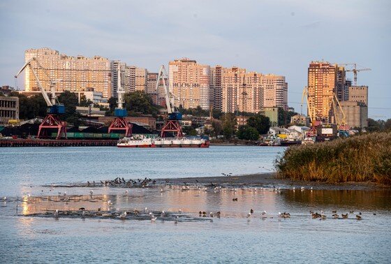    Ростов-на-Дону