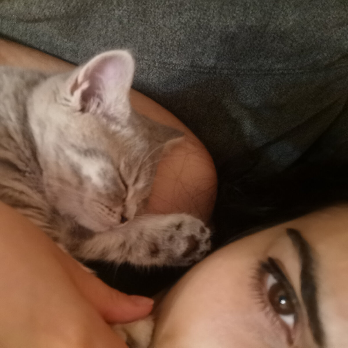 Фото моего пушистика из личного архива 