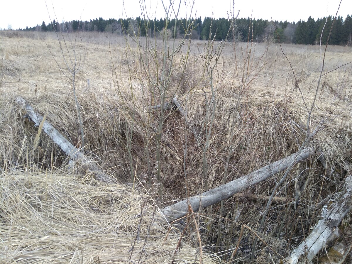 Землянка на опушке леса. фото из моего архива