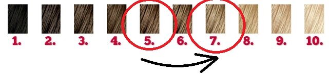 Осветления волос 6. Натуральная база волос. Фон осветления на прядях. Натуральная база волос 6.0. Схема осветления волос для начинающих.