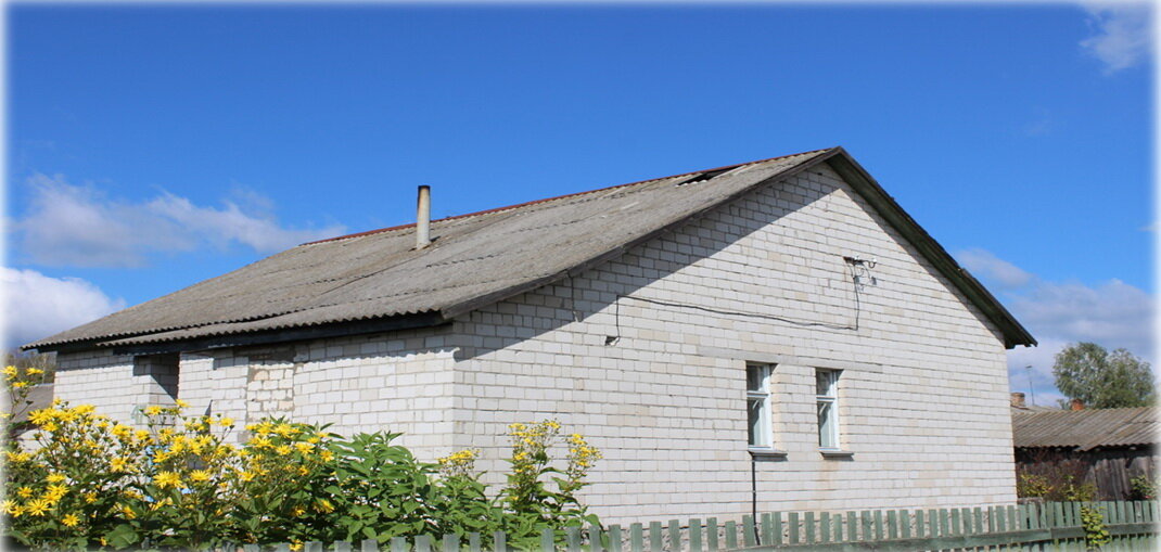 Купить дом за 1 базовую в беларуси. Светлогорский р-н, д. Чирковичи.