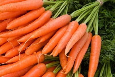 Морковь - самый распространенный овощ среди всех, которые используются в кулинарии.