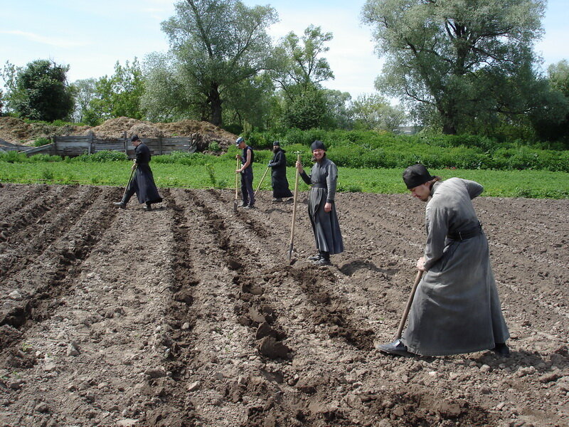 Трудник послушник Инок монах