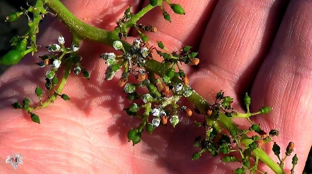 Фото из архива 2018 года  