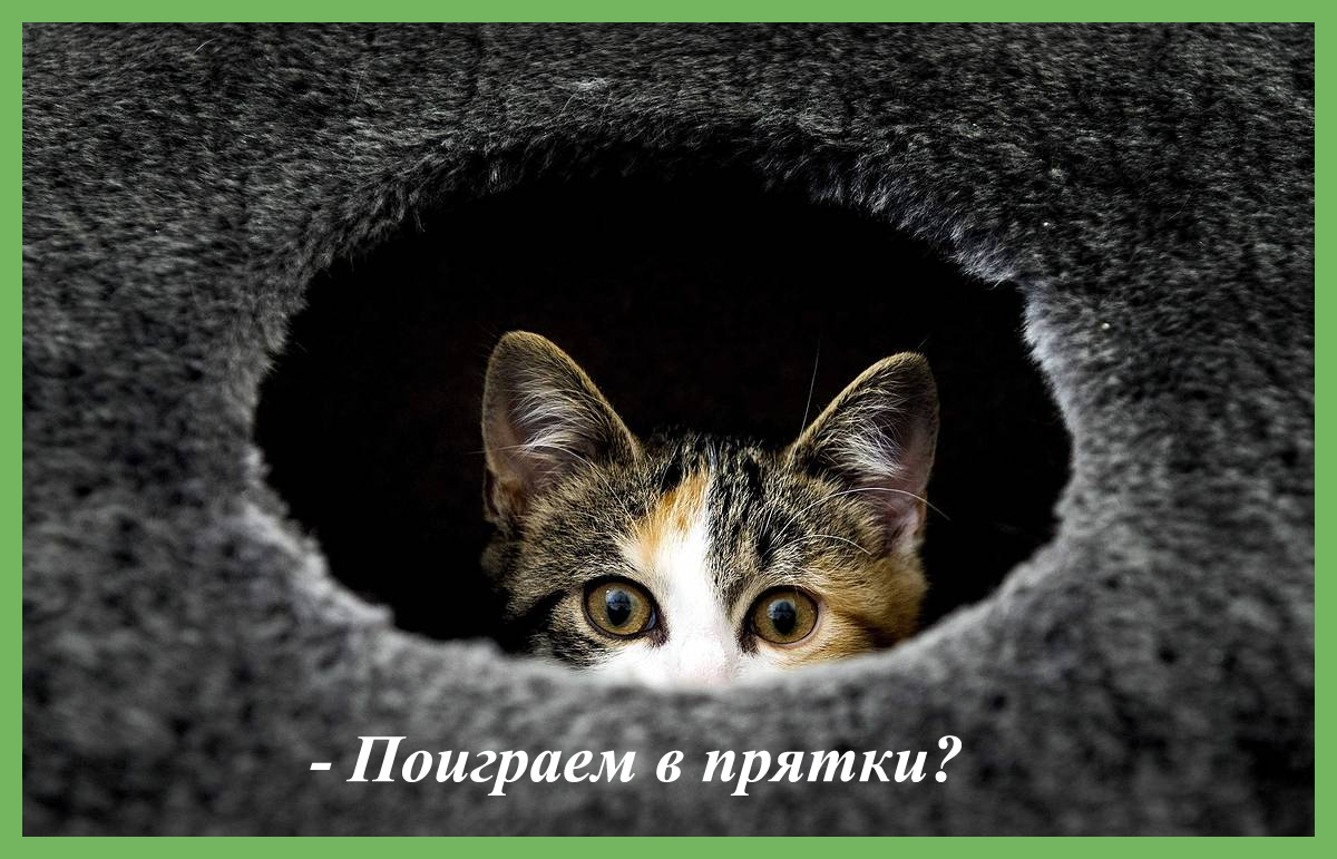 Ну, как-то так...