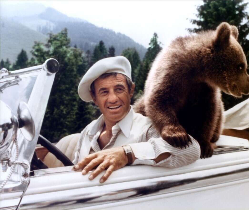 Страны: Франция, Германия 