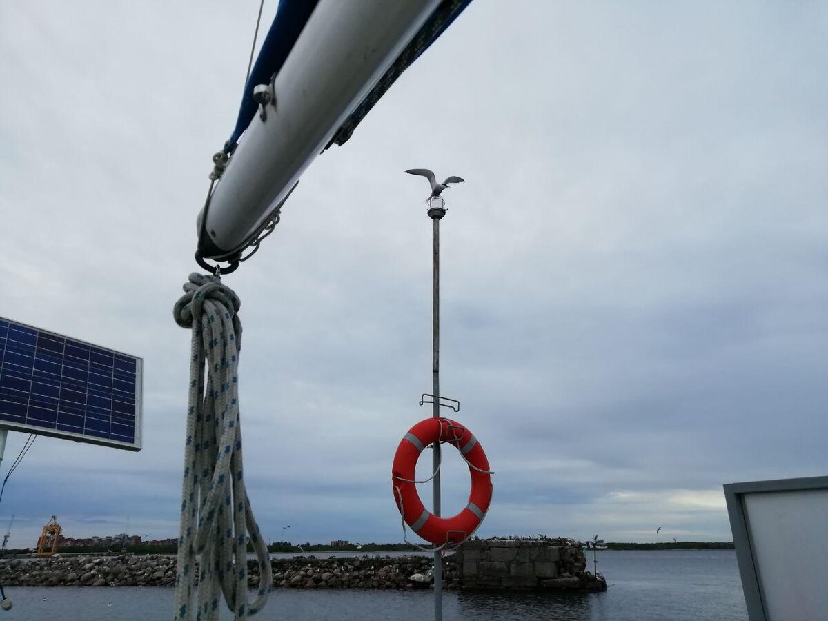 Незадекларированные чайки в зоне таможенного контроля