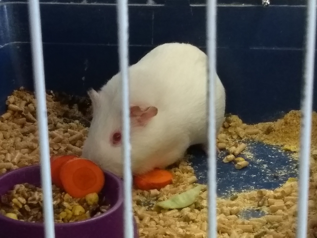 Фото из собственного архива