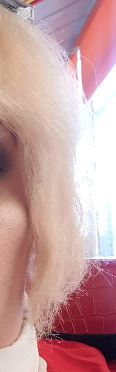 Мои одуванчики полуживые 