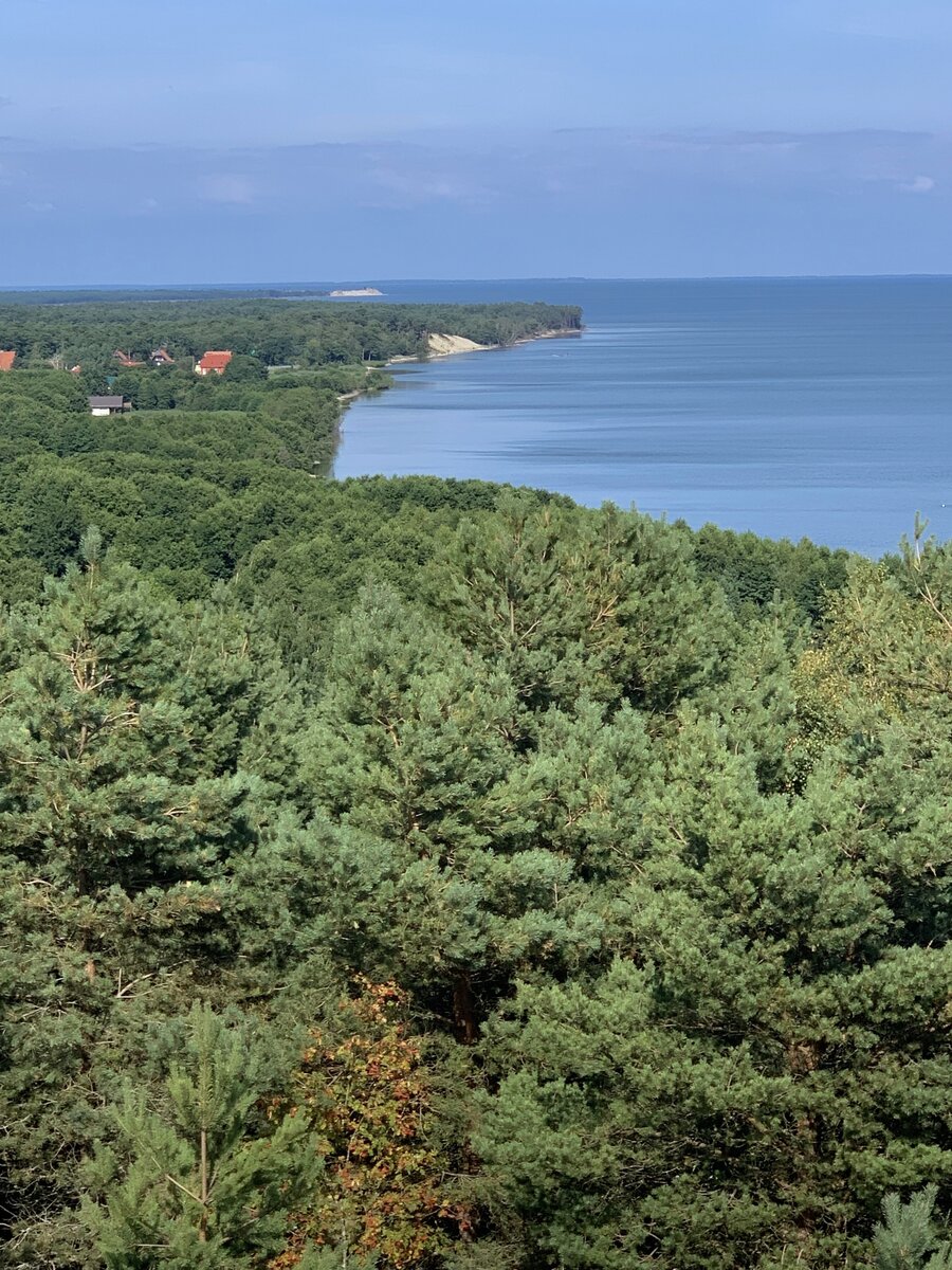 Поселок морское калининградская. Поселок Морское Куршская коса. Национальный парк Куршская коса Литва. Эфа Куршская коса. Куршская коса Калининград поселок Морское.