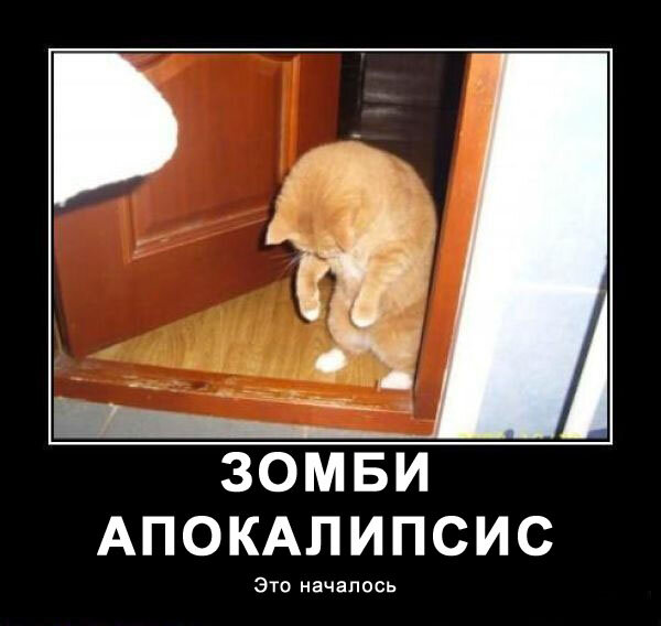 своей знаменитой книге “Вуду”, вышедшей : в США в 1959 году, исследователь и публицист Альфред Метрокс написал следующее: “Зомби — это те люди, смерть которых была официально засвидетельствована и за похоронами которых наблюдали несколько человек, но которые через какое-то время были найдены в состоянии, близком к полному идиотизму”. На Гаити, по словам Метрокса, даже среди образованных людей вряд ли найдется человек, полностью отрицающий жуткие истории о воскресших мертвецах. Одним из первых западных исследователей, зафиксировавших реальный случай зомбификации, была чернокожая женщина-этнограф по имени Зора Нель Херстон. В октябре 1936 года недалеко от города Гонаив (Гаити) была обнаружена бесцельно бродившая по округе грязная обнаженная женщина. Ее опознали как Фелисию Феликс-Ментор, умершую в возрасте двадцати девяти лет и затем похороненную. Зора Херстон посетила Фелисию, доставленную в одну из местных больниц Гонаива. В своих работах Зора описала Фелисию как “женщину с совершенно ничего не выражающим лицом, с пустыми, мертвыми глазами и веками такими белыми, словно их выжигали кислотой”. Зора Херстон полагала, что людей зомбируют за общественные провинности, в частности за раскрытие секретов тайных гаитянских обществ, занимающихся магией и колдовством. В рассказы Херстон мало кто поверил, но время доказало ее правоту. Продолжая свои исследования, Херстон пришла к выводу, что зомбификация… вызывается при помощи быстродействующего яда. Это предположение нашло свое подтверждение в 1980 году в исследованиях молодого антрополога Вэйда Дейвиса. Он писал, что зомбификация — процесс, включающий в себя использование нескольких ядов, главным среди которых является отрава, приготовленная из ядовитой рыбы. Дейвис рассказал несколько историй, .услышанных им в период пребывания на острове Гаити и, по его мнению, доказывающих, что зомби — не миф, не вымысел, а самая настоящая реальность. Первая история рассказывала о сорокалетием гаитянском крестьянине Клавиусе Нарсиссе, который в 1962 году был доставлен в больницу города Гонаив с диагнозом «лихорадка”. Через несколько дней он скончался и был немедленно похоронен. Спустя 18 лет к сестре Нарсисса Ангелине подошел мужчина и представился ее мертвым братом. Мужчина заявил о том, что был зомбирован по приказу родного брата, с которым враждовал из-за несправедливого раздела земли. Мужчина признался, что был выкопан из собственной могилы и отправлен на работу вместе с другими зомби. Когда его хозяин был убит, Клавиус освободился и скитался по острову целых шестнадцать лет, прежде чем решился объявиться в родной деревне. Самым интересным оказалось то, что личность его была установлена и он действительно оказался Клавиусом Нарсиссе. Компания ВВС сняла документальный фильм об этой странной истории. В том же году в районе, указанном Нарсиссе, была обнаружена небольшая группа бродячих зомби, что лишь подтвердило правдивость его слов. Вторая история рассказывала о тридцатилетней женщине по имени Франсина Иллеус, умершей в 1976 году. Три года спустя мать Франсины нашла свою дочь, скитающуюся по полям в состоянии полного отупения, и опознала ее по шраму на виске. Гроб Франсины при вскрытии оказался набитым камнями. Сама Франсина с трудом, но все же смогла объяснить, что ее отравили по приказу ревнивого мужа. И таких историй о людях, умерших и чудесным образом воскресших из мертвых, оказалось очень много. Во время одного из визитов на Гаити внимание Дейвиса привлекло растение под названием Datura Stramonium, известное в нашей стране как дурман обыкновенный, а на Гаити — как “огурец зомби”. Дальнейшие исследования открыли Дейвису вид чрезвычайно ядовитых жаб и две разновидности ядовитых рыб. И рыбы, и жабы оказались полны парализующим нервную систему токсином под названием тетродотоксин, смертельная доза которого — с булавочную головку. Однако Дейвис понимал, что дело не в жабах и не в рыбках. Секрет зомбификации кроется в яде, прием которого делает человека похожим на мертвеца. После похорон его откапывают, дают противоядие, а затем при помощи разнообразных снадобий доводят до состояния полного отупения. При этом, заявляет Дейвис, могущество жреца так же важно для успеха дела, как и сила яда. Практически все исследователи согласны с тем, что феномен зомби нельзя объяснить только ядами и их действием на организм человека. Здесь замешано нечто большее, некая тайна, позволяющая человеку обладать неограниченной властью над другими людьми… Но что это за тайна?

Источник: https://ufo-mir.ru/realnye-sluchai-zombifikacii.html
© Тайное становится явным...