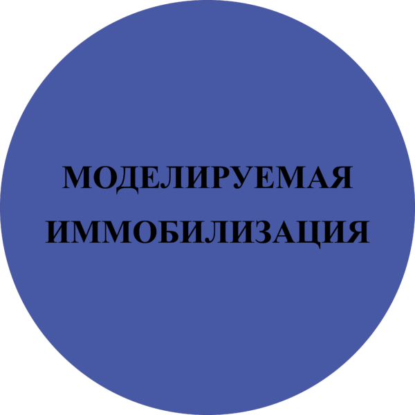 Иммобилизации моделируемыми шинами - "ДА", НЕмоделируемыми - "НЕТ"
