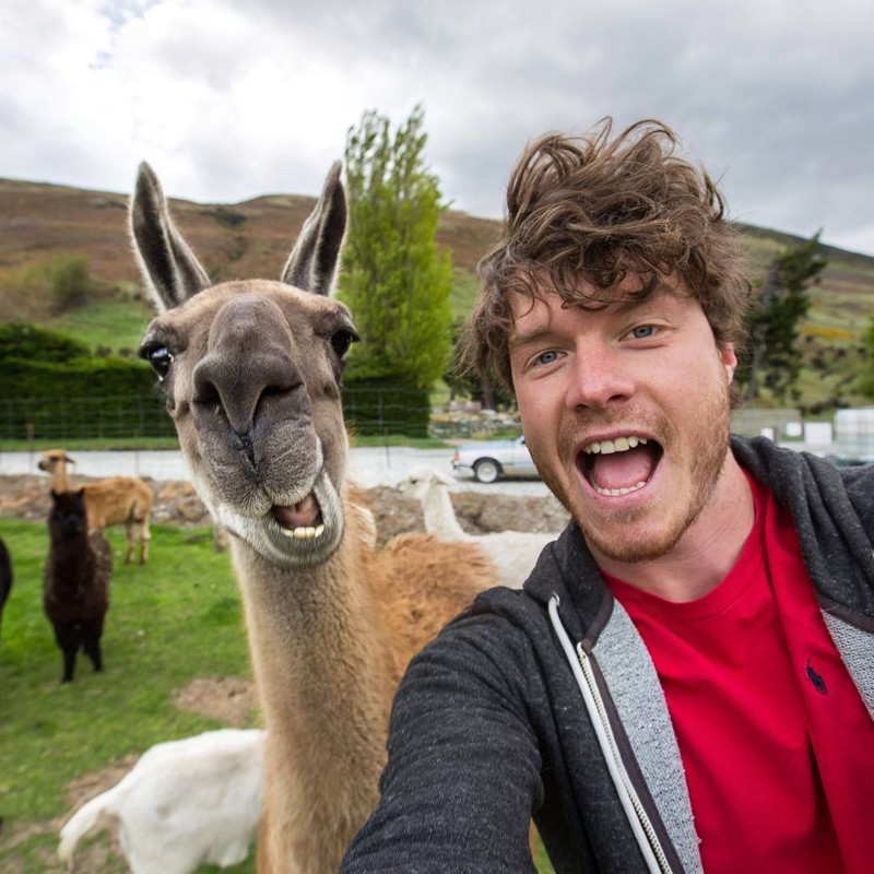 Яндекс.Картинки