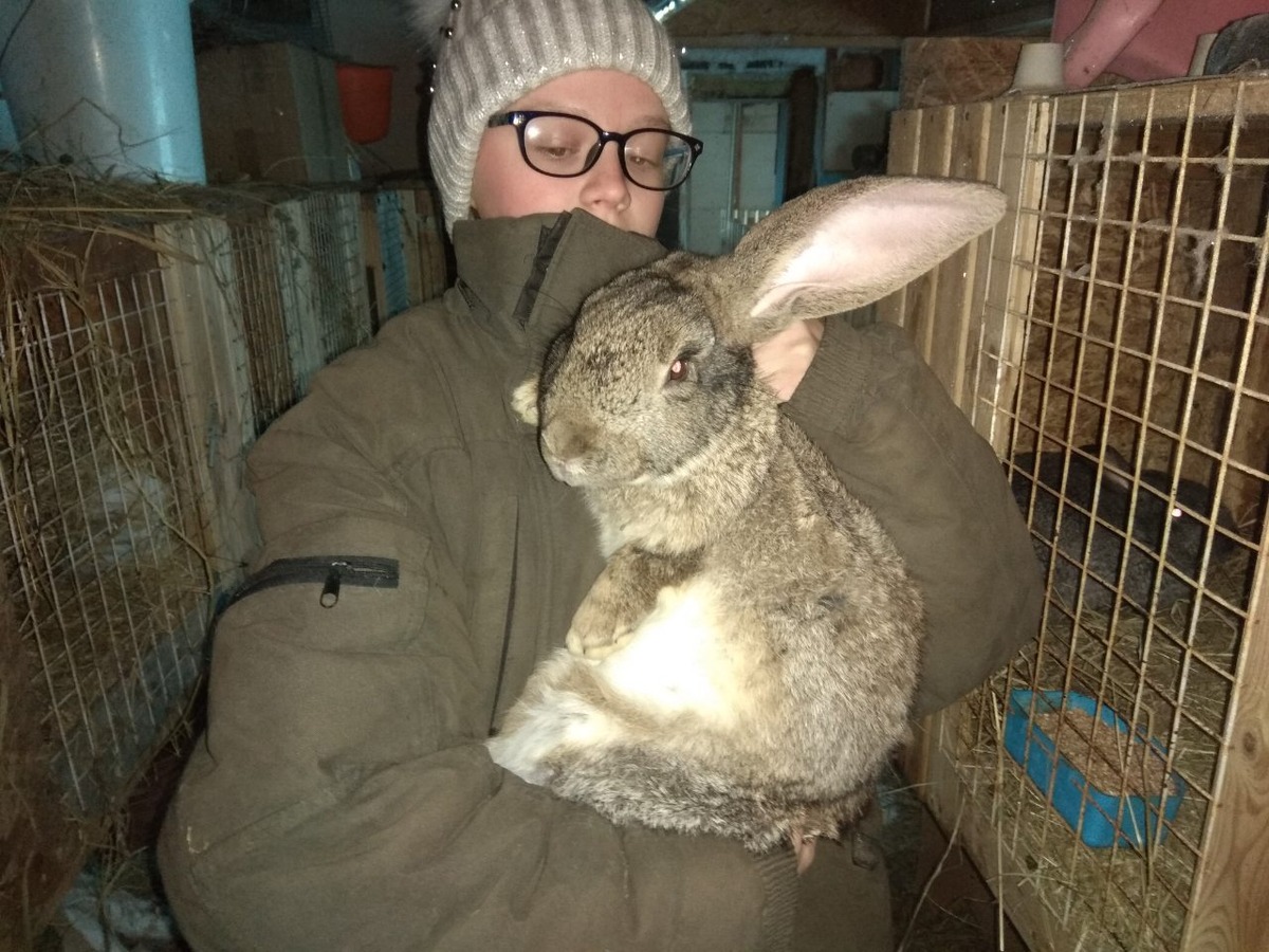 производитель