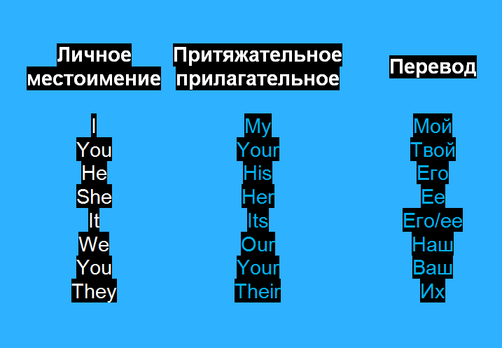 Притяжательные прилагательные с переводом