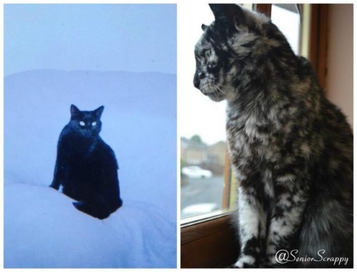 Источник: www.facebook.com/seniorscrappy