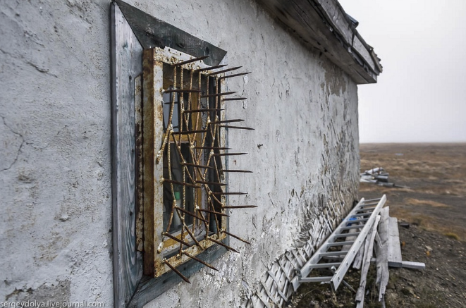 Шипы на окнах, чтобы обезопасить свое жилище от белого медведя