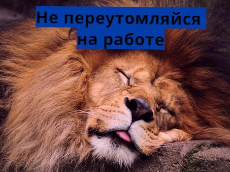 Фото с портала: http://zablugdeniyam-net.ru