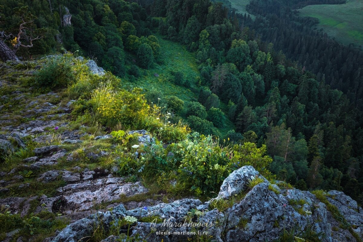 Камера лагонаки