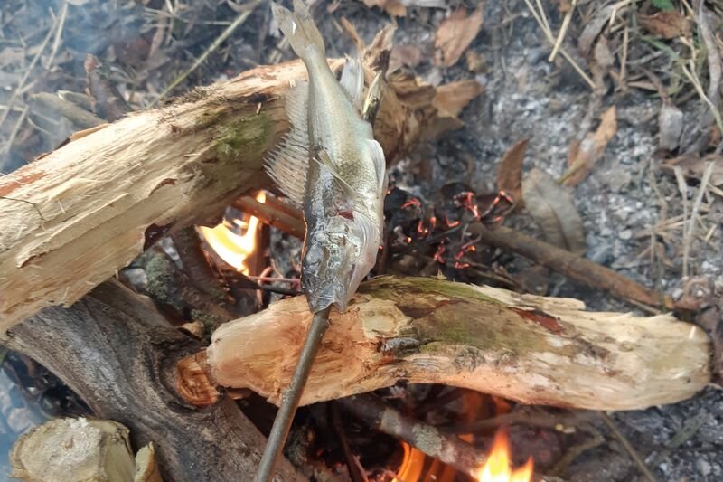 ерш на вертеле. русская национальная забава