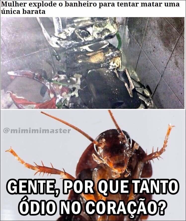 В сети много мемов на тему тараканов и страха перед ними. 
Картинка сверху: женщина взорвала туалет, пытаясь убить таракана. Картинка снизу: "люди, откуда столько ненависти в сердце?"