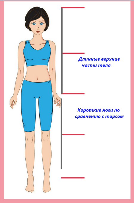 3. Фигура человека и её пропорции/Типы женских фигур