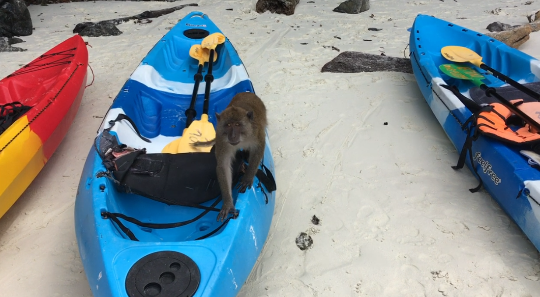 Наше транспортное средство на обезьяньем пляже