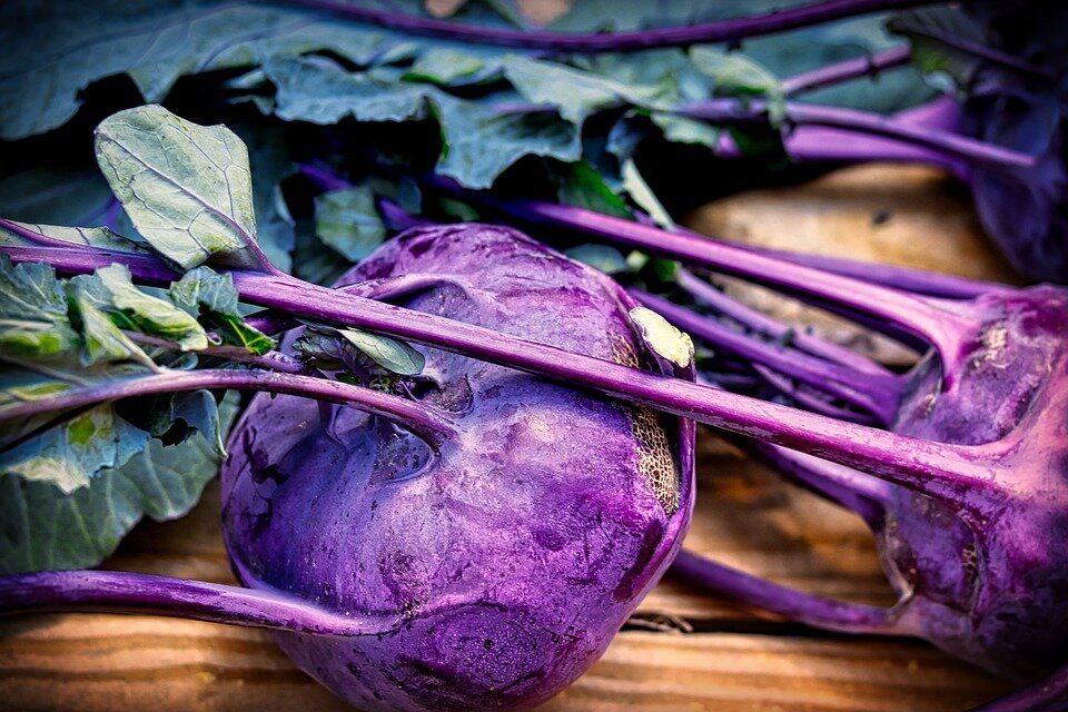 https://cdn.pixabay.com/photo/2018/11/25/17/27/kohlrabi-3837895_960_720.jpg